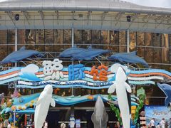 -海合安成都极地海洋公园