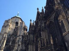 -斯蒂芬主教座堂(Stephansdom)