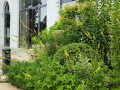 -静之湖湖畔餐厅