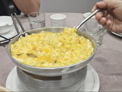 -丁老爷子苏香圆