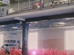 -兴芮温泉度假区