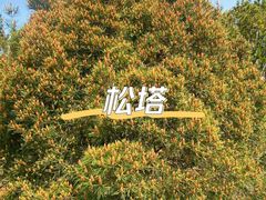 -香山公园