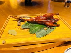 -广州富力君悦大酒店空中花园