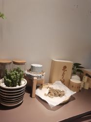 -安吉拉青春化管理中心