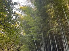-九龙潭景区