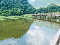 -大九湖
