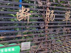 -广州神农草堂中医药博物馆