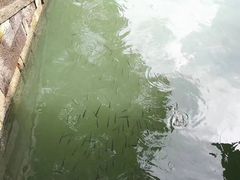 -乌镇景区