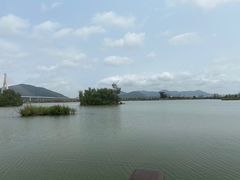 -芒洲湿地公园