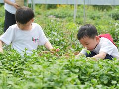 -金豆子幼稚园