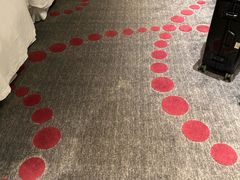 -南京禄口机场雅高铂尔曼大酒店