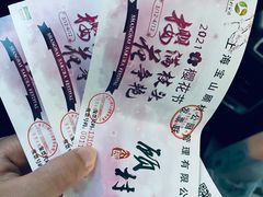 -顾村公园