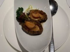 -新同乐鱼翅酒家(美丽华店)