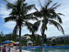 -那琴半岛地质海洋公园