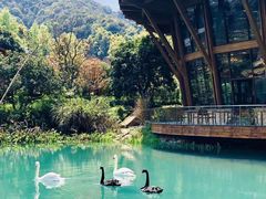 -杭州开元森泊度假乐园