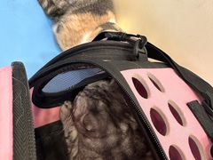 -萌兽医馆·犬猫专科·眼科中心·宠物医院(朝阳门分院)