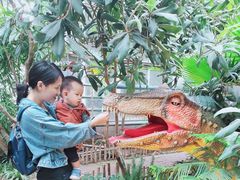 -呀路古热带植物园
