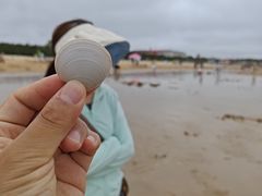 -日照海滨国家森林公园