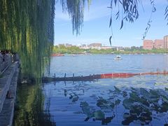 -济南大明湖景区