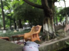 -温江公园