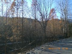 -白水寺森林公园