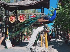 -呀路古热带植物园