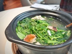 上汤时蔬-侨美食家·粤菜(体育西路店)