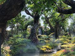 -Chom Cafe and Restaurant