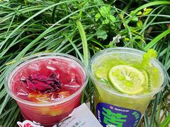 -炖物24章·顺时轻养茶(杭州大厦店)