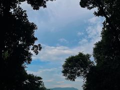 -火炉山森林公园