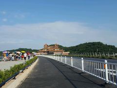 -野狸岛