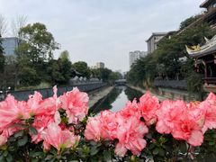 -成都市文化公园