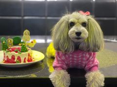 -皇马纯KTV(景田店)