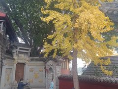 -胖娃古镇鸡杂(磁器口总店)
