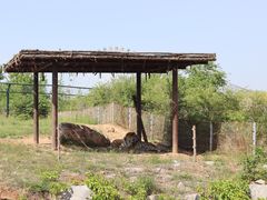 -济南野生动物世界