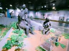 -北京周口店北京人遗址博物馆