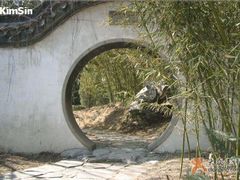 -紫竹院公园冰场