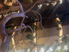 -桂满陇·海市蜃楼·黑金(国金店)