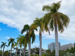 -金鸡岭桥头公园