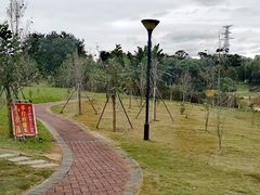 -风云岭森林公园