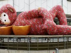 -凯德广场(学府店)