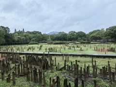 -河姆渡遗址博物馆