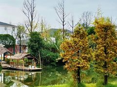 -桤木河湿地公园