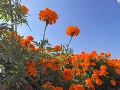 -小五台金河景区