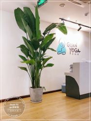 -兰瑜伽·普拉提