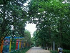 android_upload_pic-昆明动物园