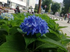 -大洋晶典(东街店)