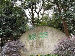 -中国茶叶博物馆(双峰馆区)