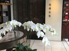 -王德传茶庄(上海新天地店)