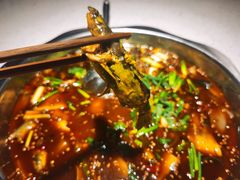 黄辣丁泥鳅小锅-满诗爷黄辣丁(金岛花园店)